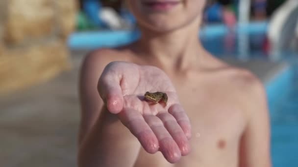 Zbliżenie żaby na ręce chłopców — Wideo stockowe