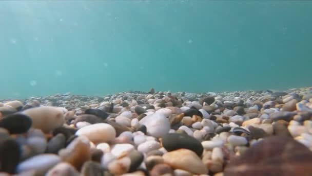 Fond sous-marin de pierres au fond de la mer — Video