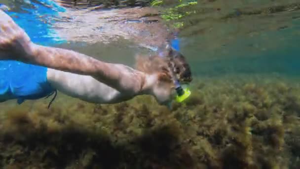 Snorkeling bambino godendo vacanze estive immersioni in mare. — Video Stock