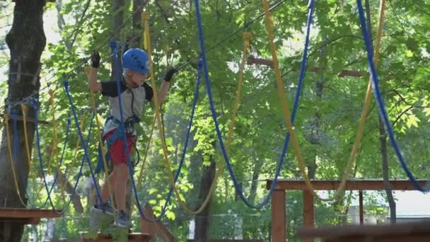 Vrolijk lachend kind klimmen in avontuur hoge draad park. — Stockvideo