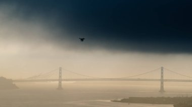 Uçak kalkış Köprüsü San Francisco Ca ABD bay golden gate köprüsü sinek üzerinde