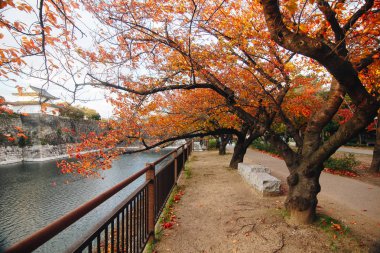 Osaka Castle Park kamu kentsel park ve ören Osaka-Jo yer ve Osaka şehir merkezinde büyük bir alanı kaplar. Bu park şehrin en büyük ikinci park vardır.