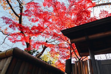 Arashiyama Kyoto, Japonya batı eteklerinde bir ilçedir. Ayrıca ilçe için bir zemin oluşturmaktadır Oi Nehri Dağı'na başvurulur. Arashiyama bir ulusal olarak belirlenen tarihi ve doğal güzellikleri yer ediyor.
