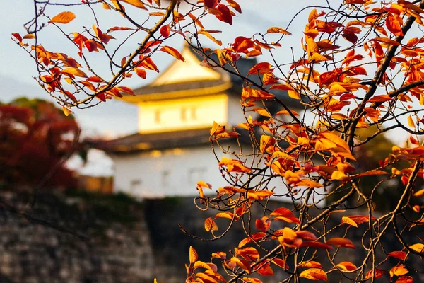 Osaka Castle Park Offentlig Urban Och Historisk Plats Belägen Vid — Stockfoto