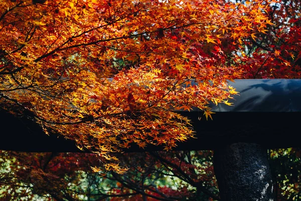 Arashiyama Okres Západním Okraji Kjóto Japonsko Také Odkazuje Hory Přes — Stock fotografie