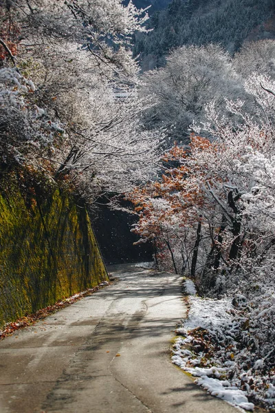 Shirakawa Est Village Situé Dans Préfecture Gifu Japon Est Des — Photo