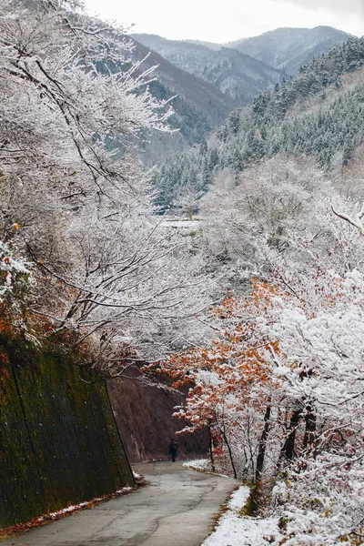 Shirakawa Est Village Situé Dans Préfecture Gifu Japon Est Des — Photo