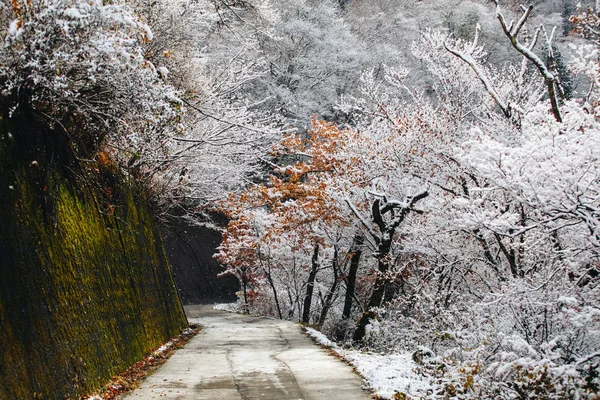 Shirakawa Obec Nachází Prefektuře Gifu Japonsko Jeden Světového Dědictví Unesco — Stock fotografie