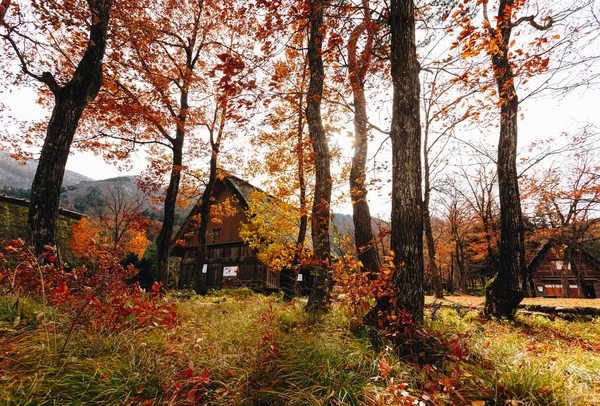 Shirakawa Pueblo Situado Prefectura Gifu Japón Uno Los Sitios Patrimonio — Foto de Stock