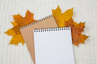 Beyaz bir tekstil örgü arka planında parlak sonbahar yaprakları yığını üzerinde yazı yazmak için boş bir alanı olan bir not defteri. Yukarıdan manzara, Flatley. Sarıl ve rahatla.