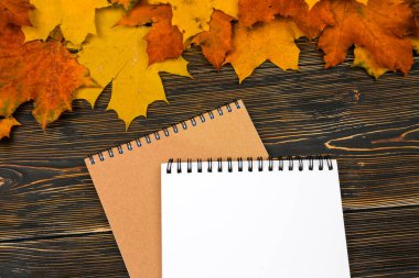 Karanlık bir ahşap masaya karşı parlak sonbahar yaprakları yığını üzerinde yazı yazmak için boş bir yeri olan bir defter. Üst Manzara, Düz