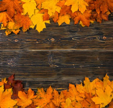 Karanlık ahşap bir masaya karşı parlak sonbahar yaprakları yığını. Üst Manzara, Düz