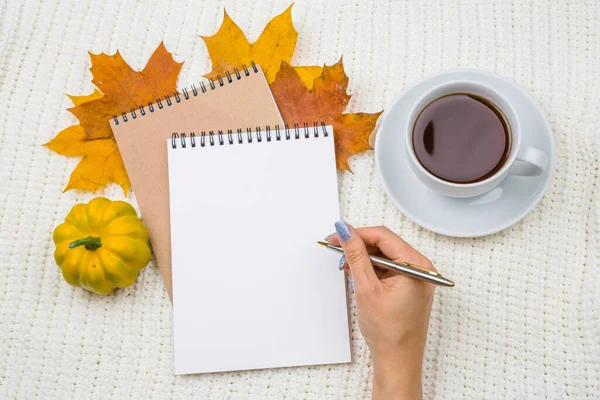 Notitieblok Met Een Lege Ruimte Voor Tekst Heldere Herfstbladeren Een — Stockfoto