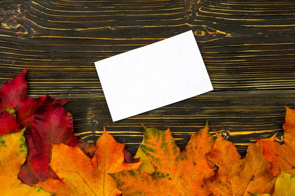 Papel com um espaço vazio de texto em uma pilha de folhas de outono brilhantes contra uma mesa de madeira escura — Fotografia de Stock