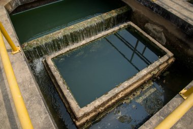 Su arıtma süreci ve su arıtma tesisleri, Tayland su.