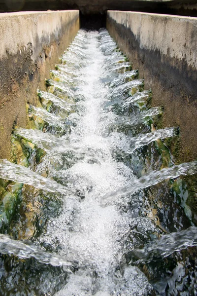 Proceso Tratamiento Aguas Plantas Tratamiento Aguas Las Obras Agua Tailandia — Foto de Stock