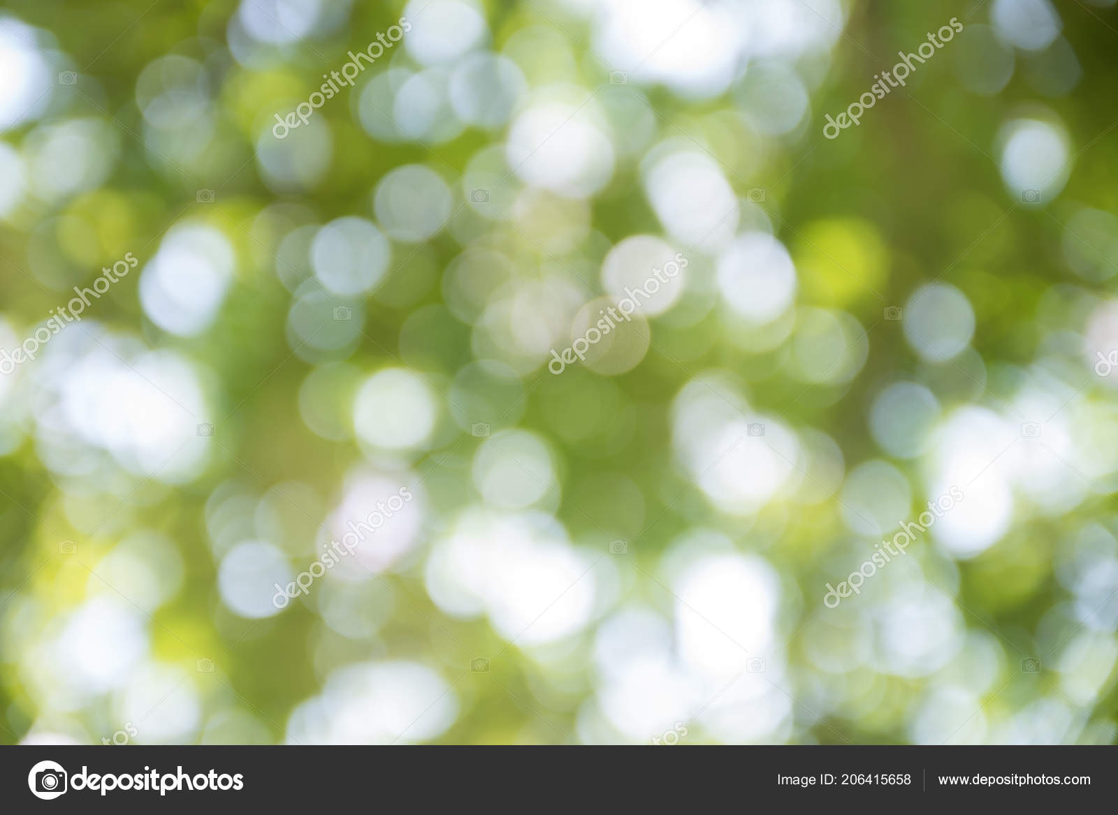 Zoom Shot Out Focus Tree Background Bokeh Blurs Stock Photo Image By C Watcharapol