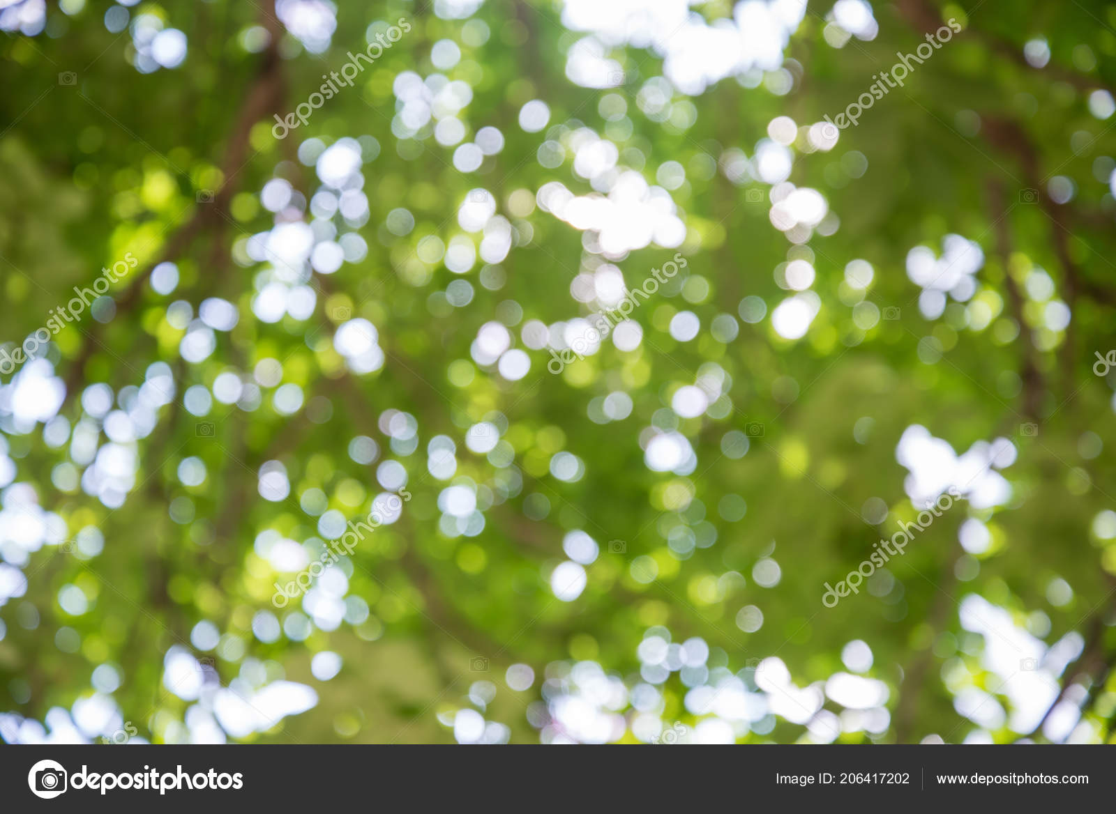 Zoom Shot Out Focus Tree Background Bokeh Blurs Stock Photo C Watcharapol