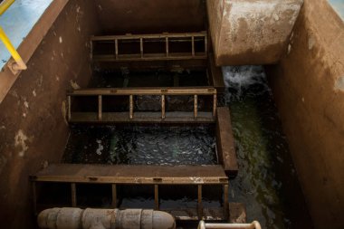 Su arıtma süreci ve su arıtma tesisleri, Tayland su.