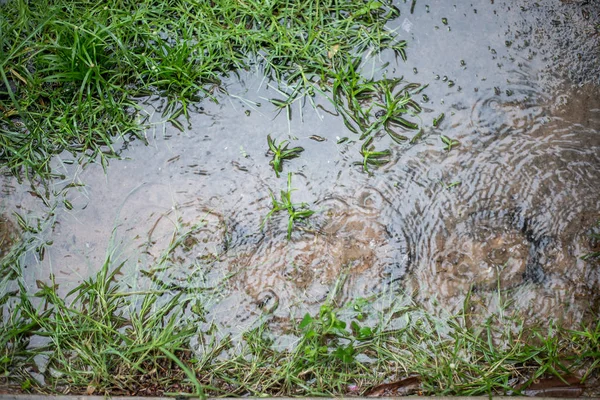 Gouttes Pluie Dans Eau Fond — Photo