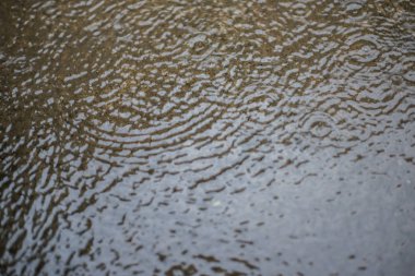 Su, arka plan Yağmur damlaları