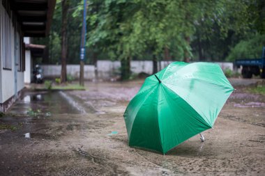 Yeşil şemsiye yağmur altında yer.