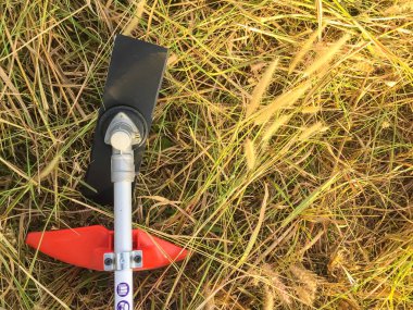 yeşil bahçesinde, arka plan çim kesme biçme makası-