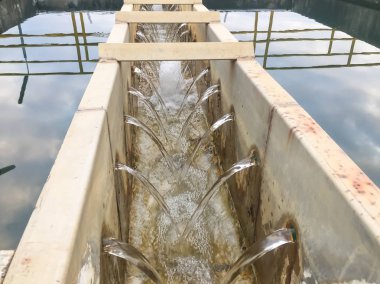 Su arıtma süreci ve su arıtma tesisleri, Tayland su.