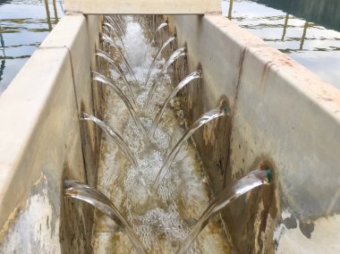 Su arıtma süreci ve su arıtma tesisleri, Tayland su.