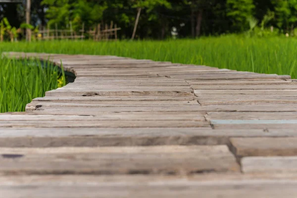 Ahşap geçit alanları