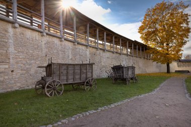Sonbaharda Izborsk 'ta bir ortaçağ kalesinin duvarları. Tahta arabalar kalenin duvarlarının yanında duruyor. Düşen sarı yapraklı bir ağaç
