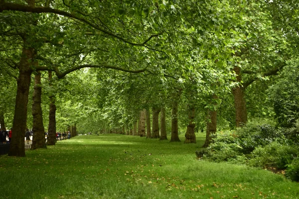 Fare Una Passeggiata Parco Londra — Foto Stock