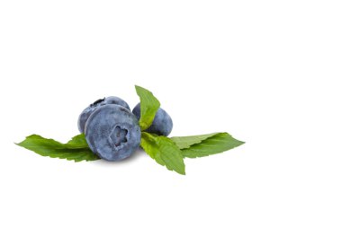 Beyaz arkaplanda izole edilmiş nane yaprağı olan taze yaban mersini, kopyalama alanı