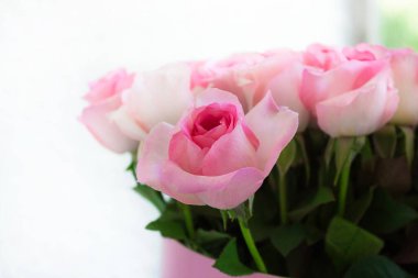 Beyaz arka planda pembe bir kutuda pembe güller, parlak bir gün ışığı fotoğrafı.