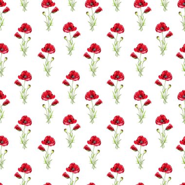 Kırmızı haşhaş ile çiçek seamless modeli. Suluboya taklit. Alkol işaretleri ile çizim.
