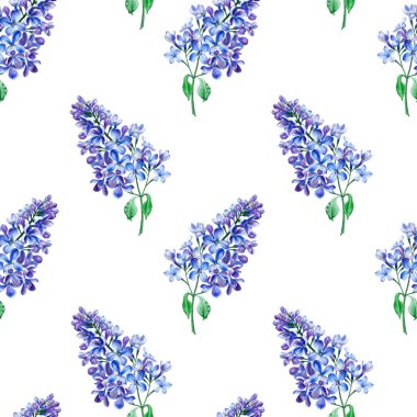 Mavi leylak, küçük çiçekli çiçekli seamless modeli. İşaretleyicileri tarafından sanat. Suluboya çizimi taklit.