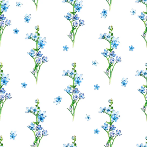 ブルーのブルースターの小さな花のシームレス花柄アート マーカーで 水彩図面の模倣 — ストック写真