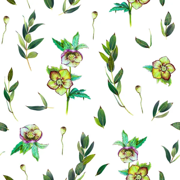 Patrón Sin Costura Floral Con Helleborus Verde Ramitas Arte Por — Foto de Stock