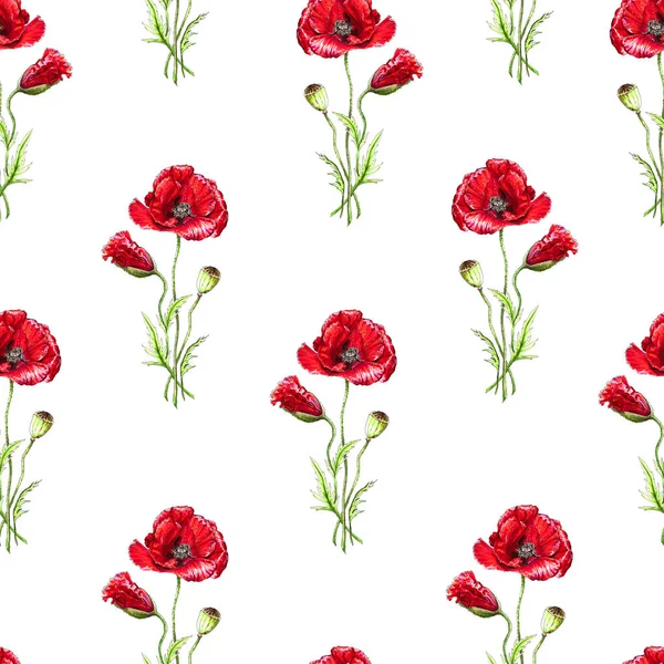 Motif Floral Sans Couture Avec Des Coquelicots Rouges Imitation Aquarelle — Photo