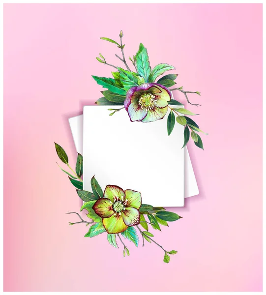 Färgglad Blommig Bakgrund Med Vackra Blommor Gröna Helleborus Och Blad — Stockfoto