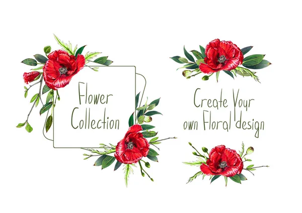 Kırmızı Haşhaş Çiçek Çizimi Ile Ayarlayın Çerçeve Küçük Buketleri Dekorasyon — Stok fotoğraf
