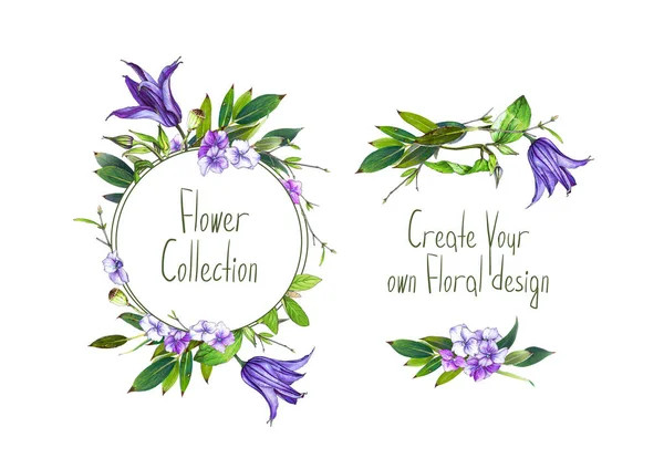 Conjunto Com Ilustração Flor Clematis Roxo Hortênsia Folhas Moldura Redonda — Fotografia de Stock