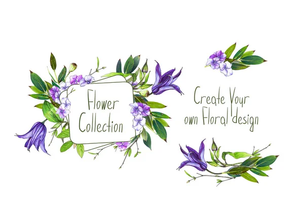 Σετ Εικονογράφηση Της Λουλούδι Μωβ Κληματιτής Ορτανσία Και Φύλλα Πλαίσιο — Φωτογραφία Αρχείου