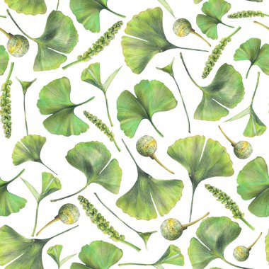Ginkgo biloba yeşil yaprakları ile Seamless modeli. El çizimi renkli kalemler ile çekilmiş. Tekstil, iç veya bazı arka plan için botanik doğal tasarım.