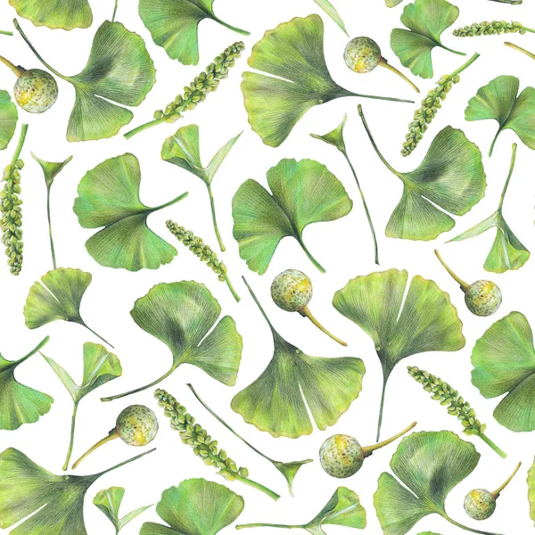 Seamless Mönster Med Gröna Blad Ginkgo Biloba Hand Dras Illustration — Stockfoto