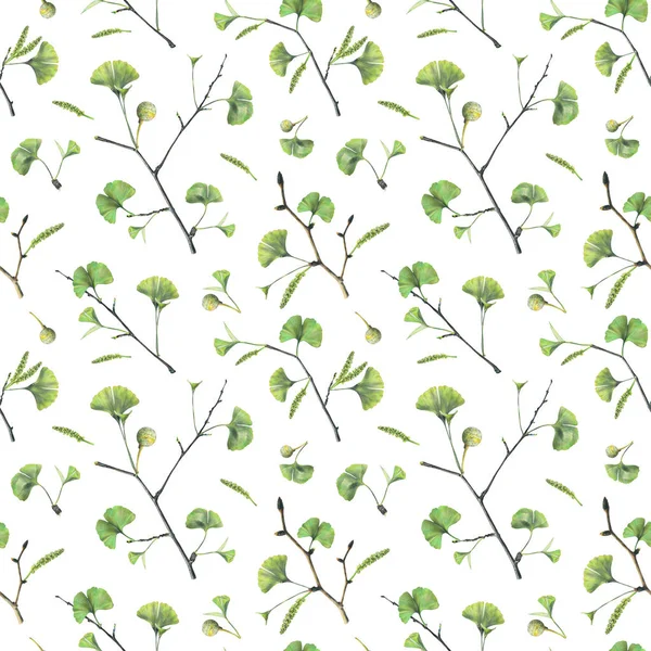 Nahtloses Muster Mit Grünen Blättern Von Ginkgo Biloba Handgezeichnete Illustration — Stockfoto