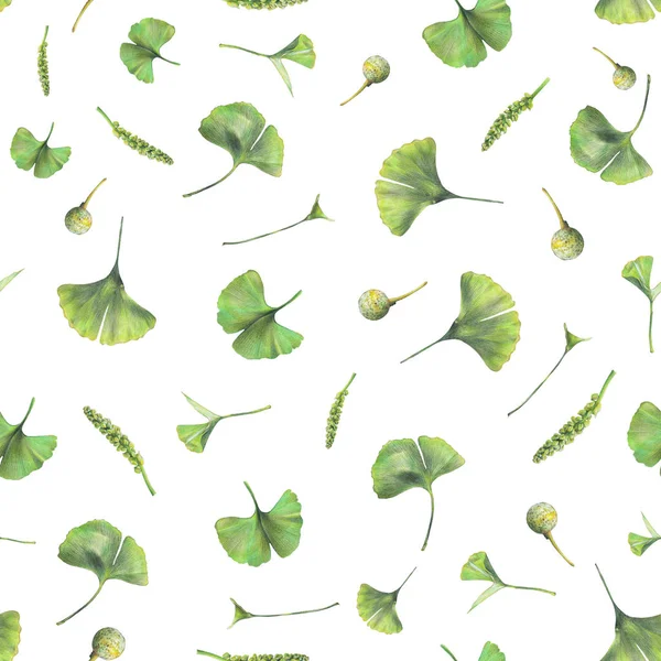 Χωρίς Ραφή Πρότυπο Πράσινα Φύλλα Του Ginkgo Biloba Χέρι Που — Φωτογραφία Αρχείου