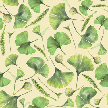 Ginkgo biloba yeşil yaprakları ile Seamless modeli. El çizimi renkli kalemler ile çekilmiş. Tekstil, iç veya bazı arka plan için botanik doğal tasarım.