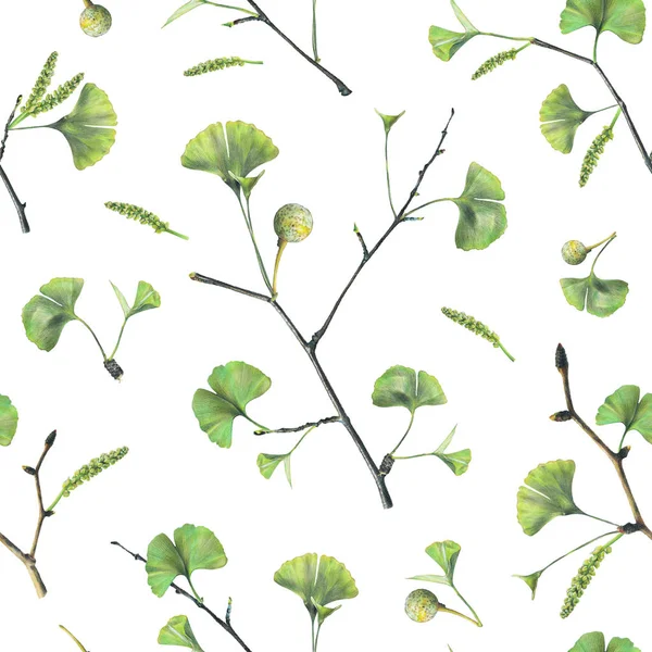 Seamless Pattern Green Leaves Ginkgo Biloba Hand Drawn Illustration Colored — Stock Photo, Image