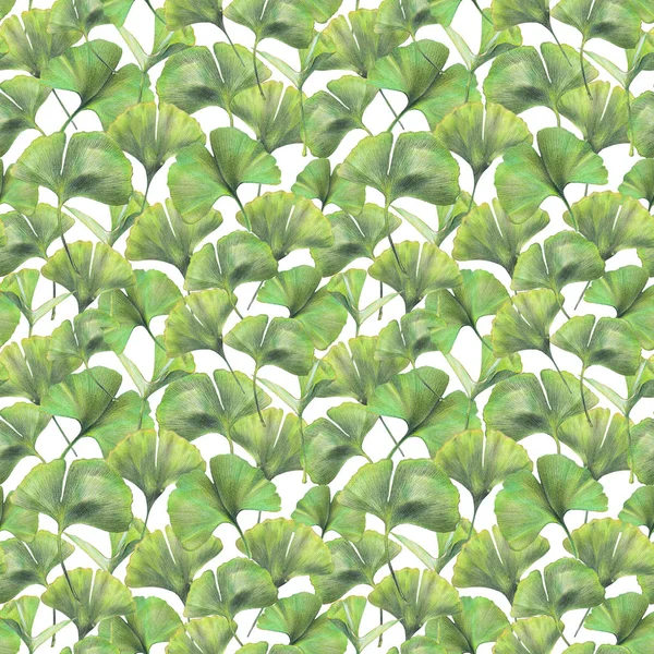 Χωρίς Ραφή Πρότυπο Πράσινα Φύλλα Του Ginkgo Biloba Χέρι Που — Φωτογραφία Αρχείου